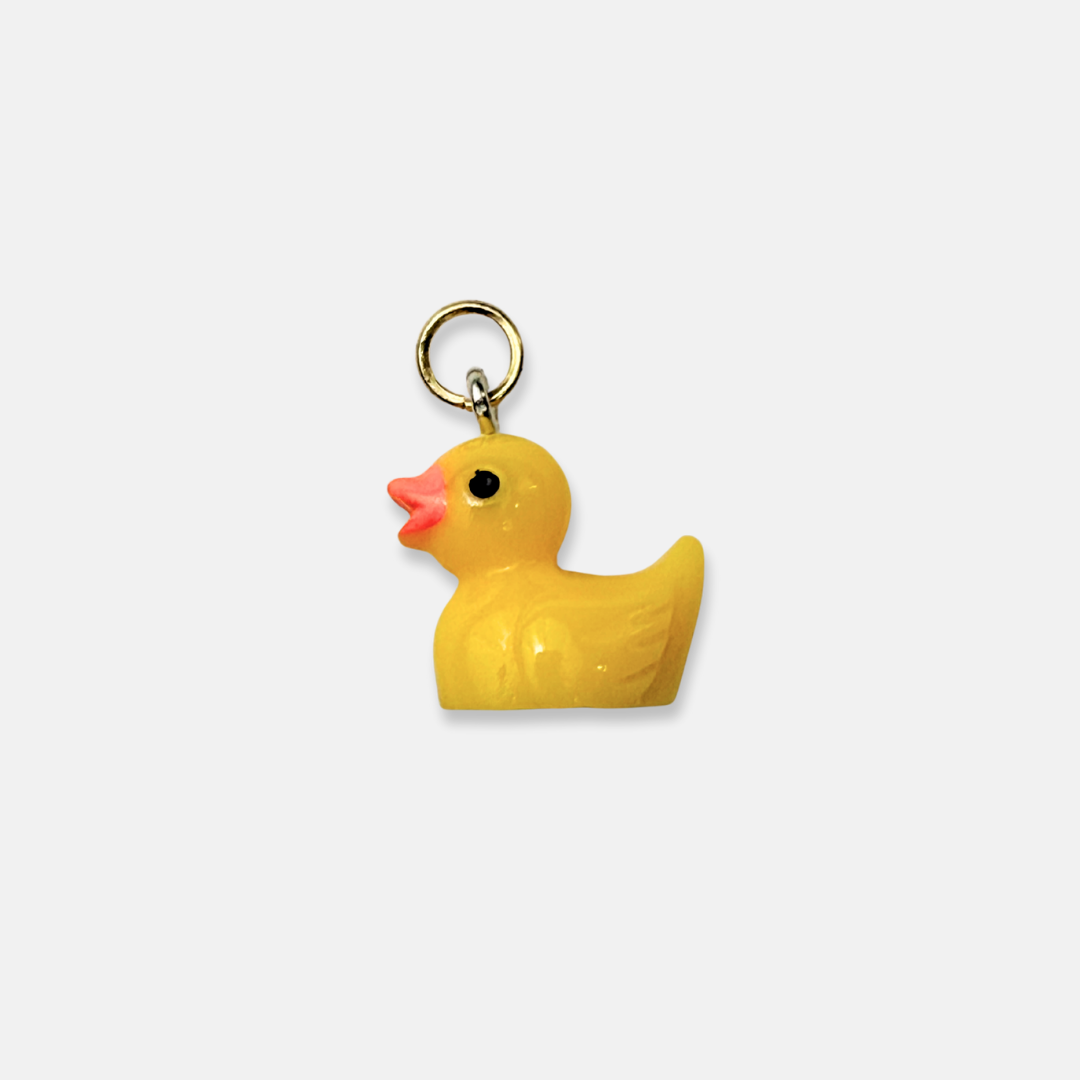 CANARD - THEM Paris