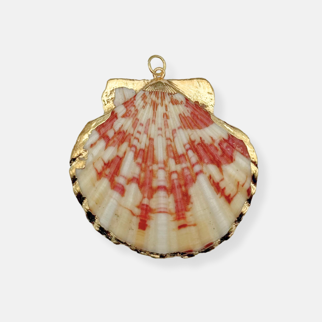 COQUE BRUNE - THEM Paris