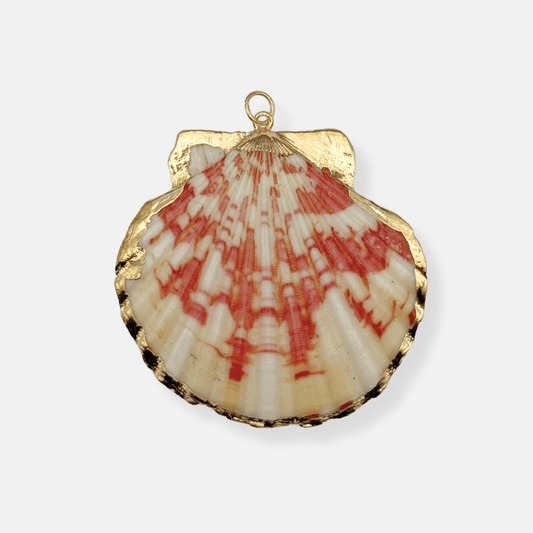 COQUE BRUNE - THEM Paris