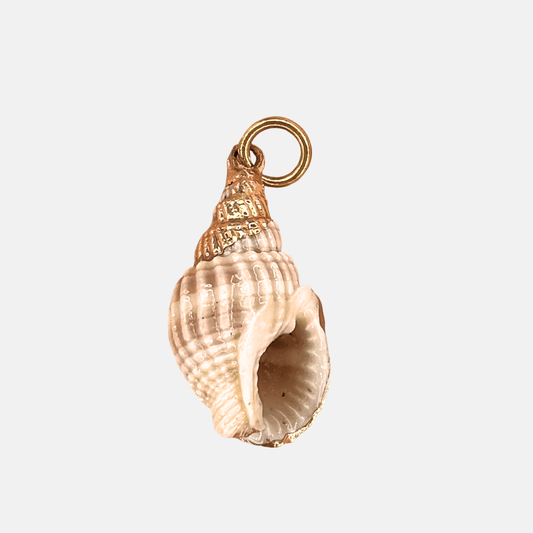 COQUILLAGE BRUT DORÉ - THEM Paris