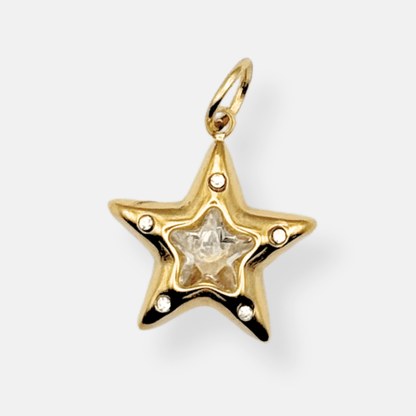 STAR - THEM Paris